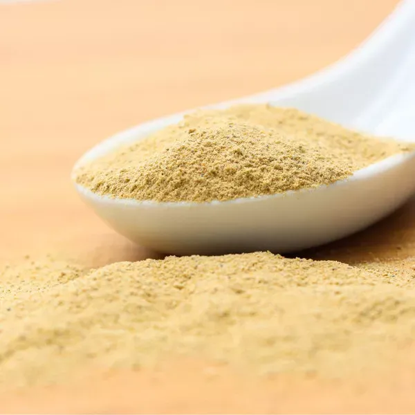 moule-verte (2).webp