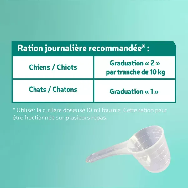 moule-verte (1).webp