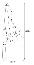561342_T_01.webp