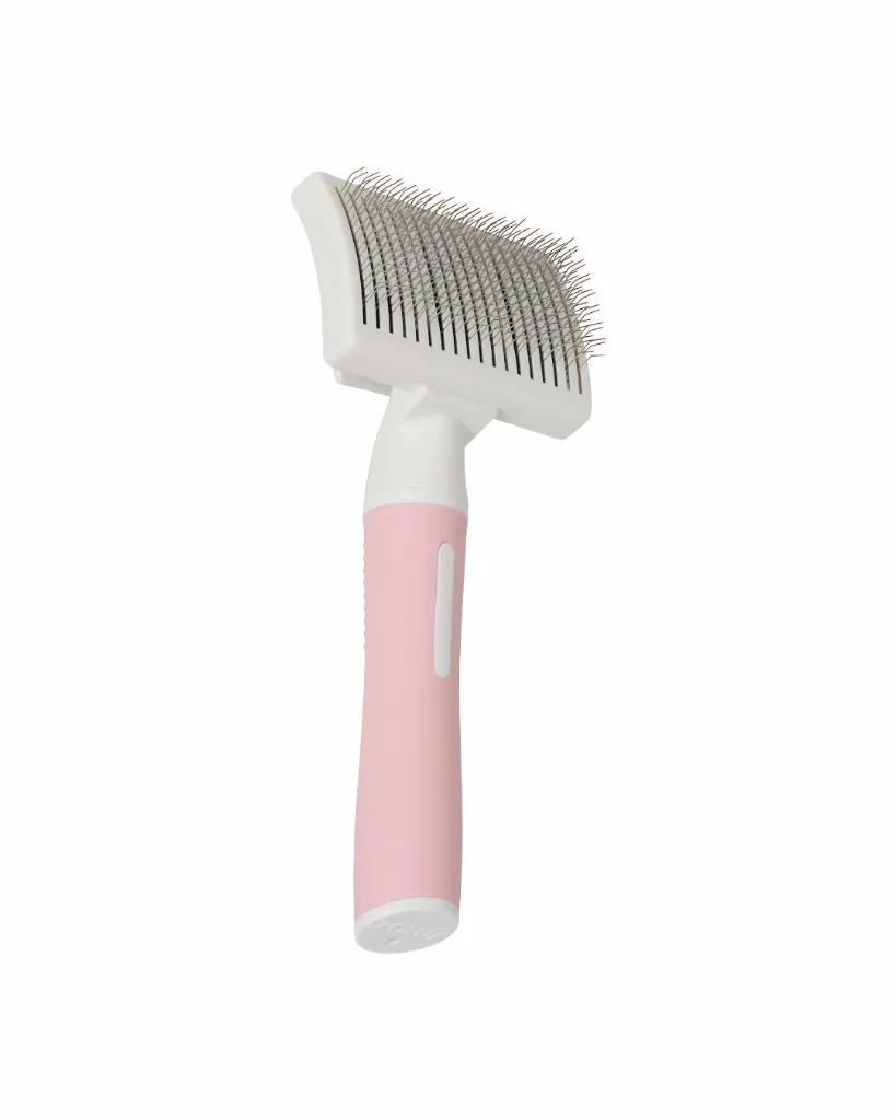 Copie de Publications - 2026-04-17T143115.989.webp