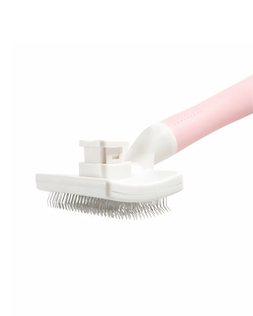 Copie de Publications - 2026-04-17T143037.198.webp