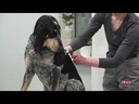 youtube - [Video]