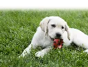 516736_D_01.webp