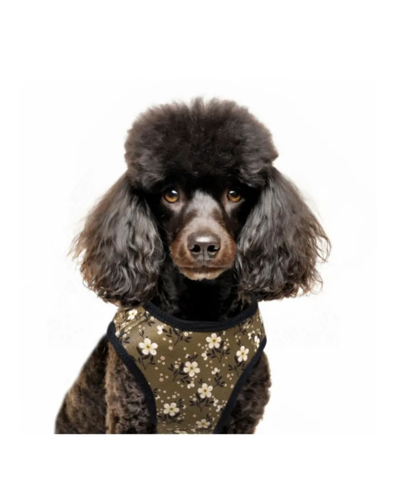 Copie de Publications - 2026-04-20T143820.172.webp