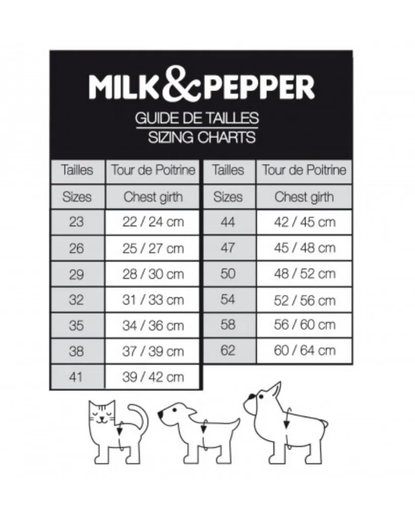 Copie de Publications - 2026-04-20T150347.708.webp