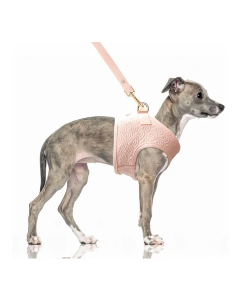 Copie de Publications - 2026-04-20T150251.435.webp