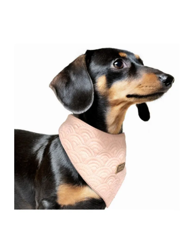 Copie de Publications - 2026-04-21T095105.225.webp