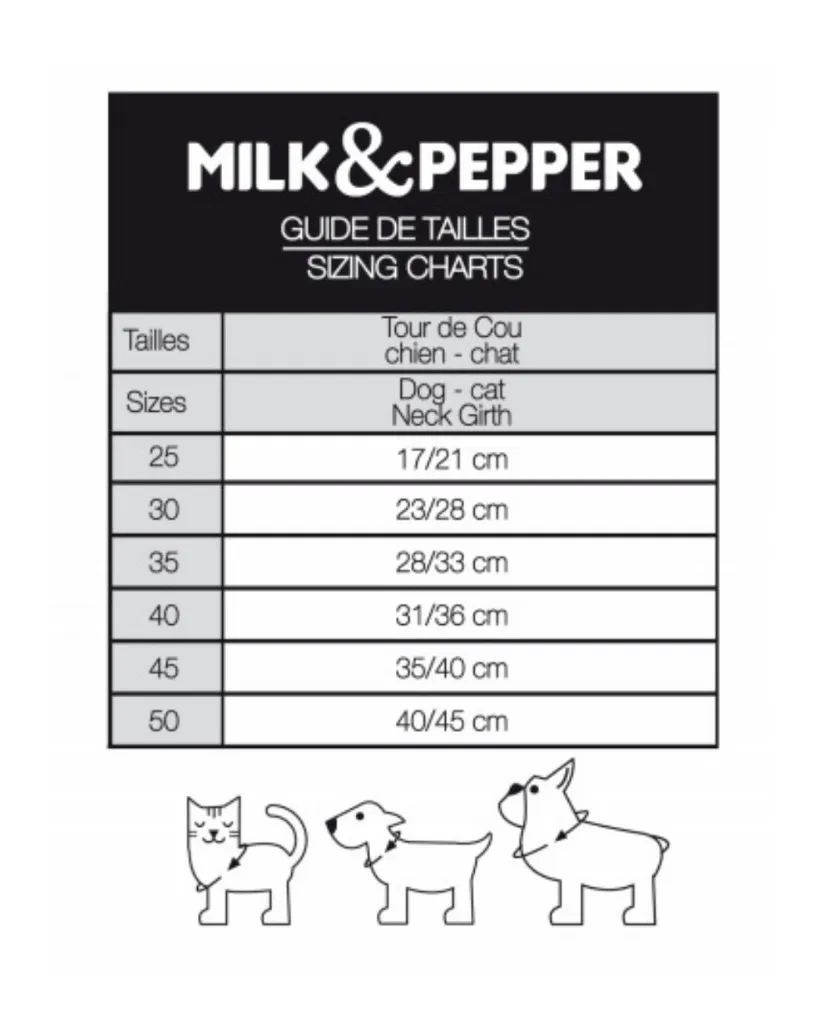 Copie de Publications - 2026-04-21T095352.957.webp