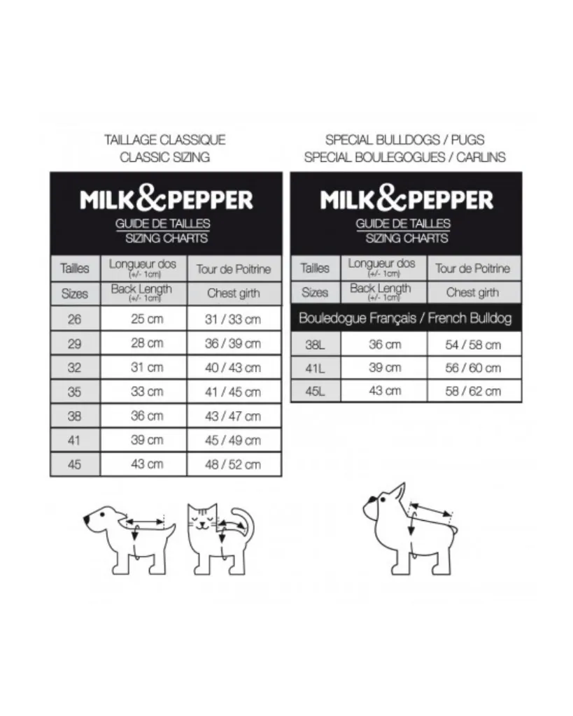 Copie de Publications - 2026-04-21T122402.838.webp