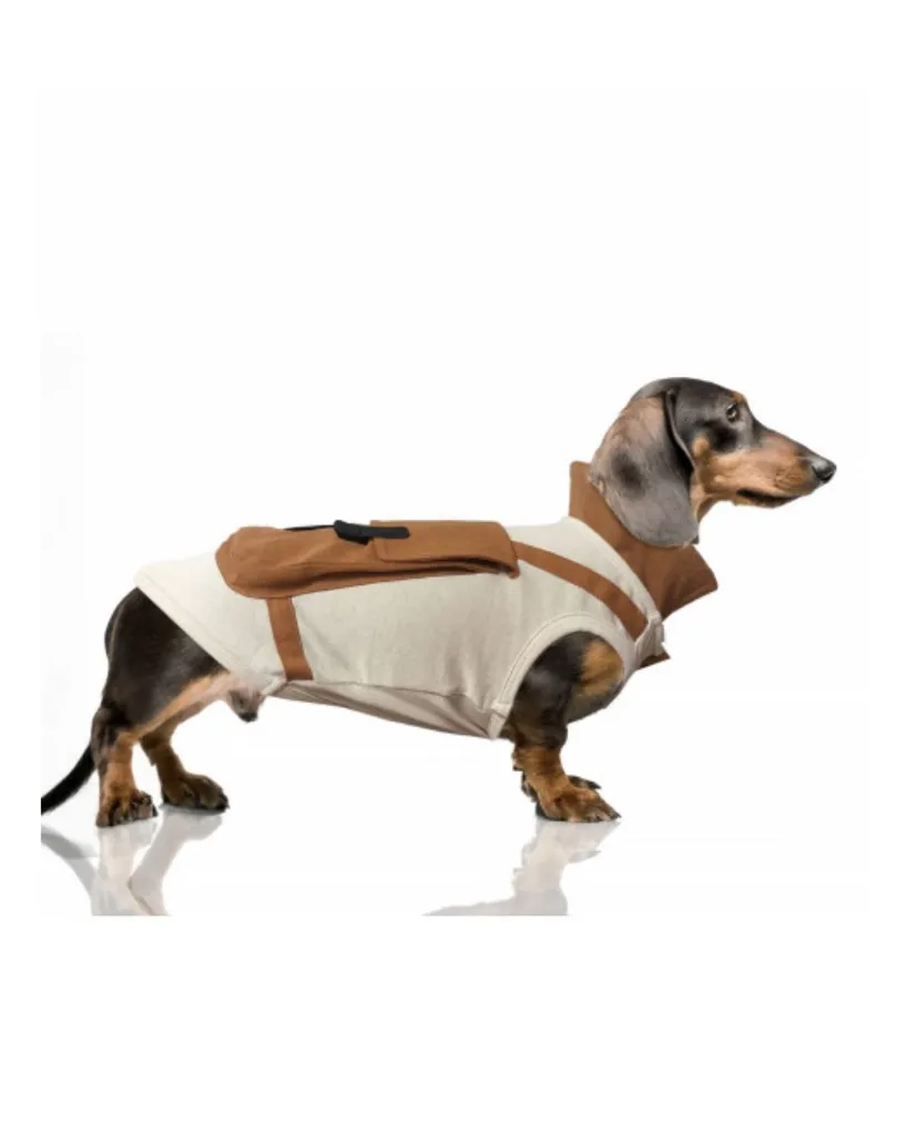 Copie de Publications - 2026-04-21T122311.910.webp