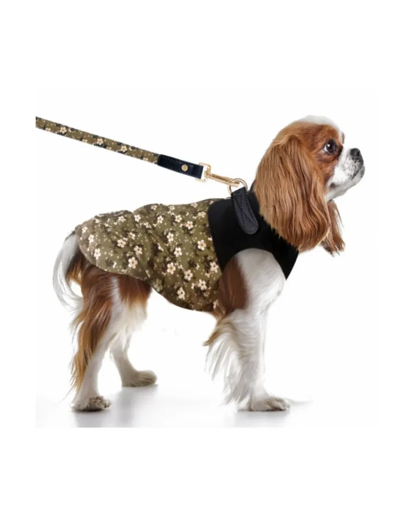 Copie de Publications - 2026-04-21T145955.695.webp