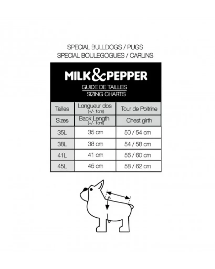 Copie de Publications - 2026-04-21T150037.193.webp