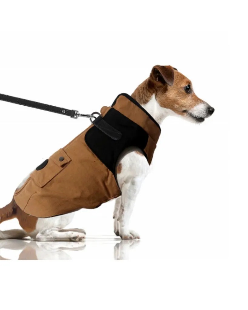 Copie de Publications - 2026-04-21T152119.463.webp