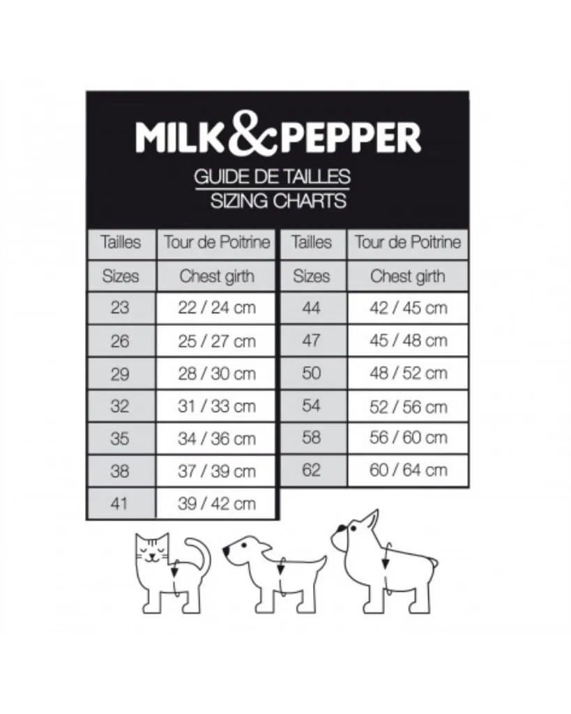 Copie de Publications - 2026-04-22T115254.084.webp