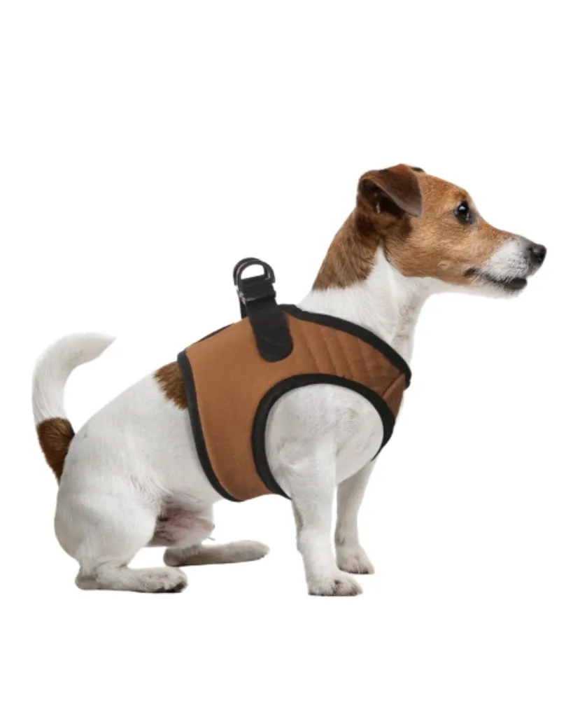 Copie de Publications - 2026-04-22T115231.082.webp