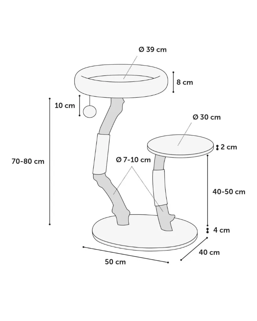 Publications (20).webp