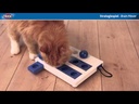 youtube - [Video]