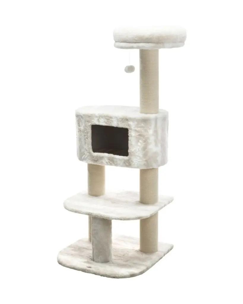 Publications (29).webp