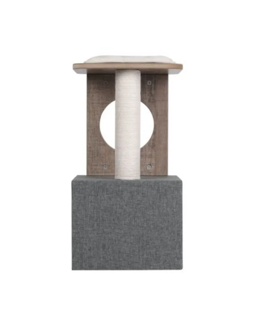 Publications (33).webp