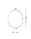 Publications (55).webp