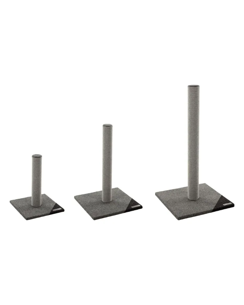 Publications (64).webp