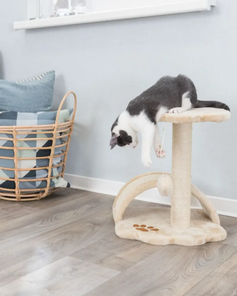 Publications (71).webp