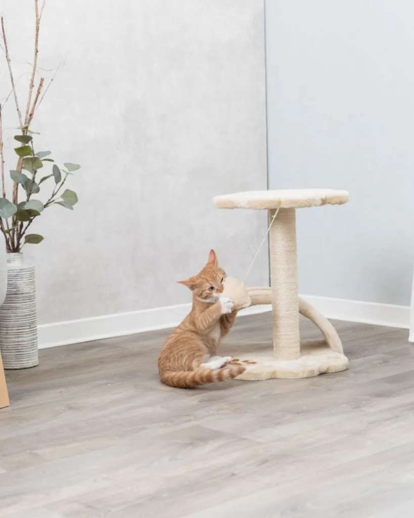 Publications (70).webp