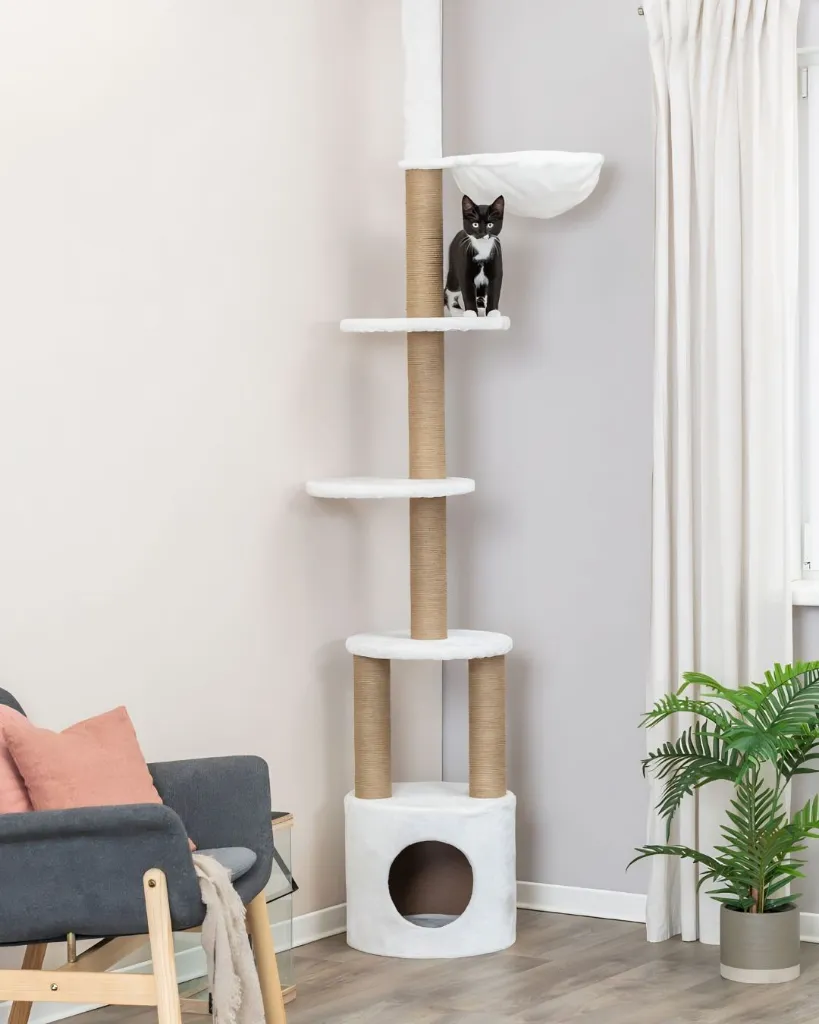 Publications (87).webp