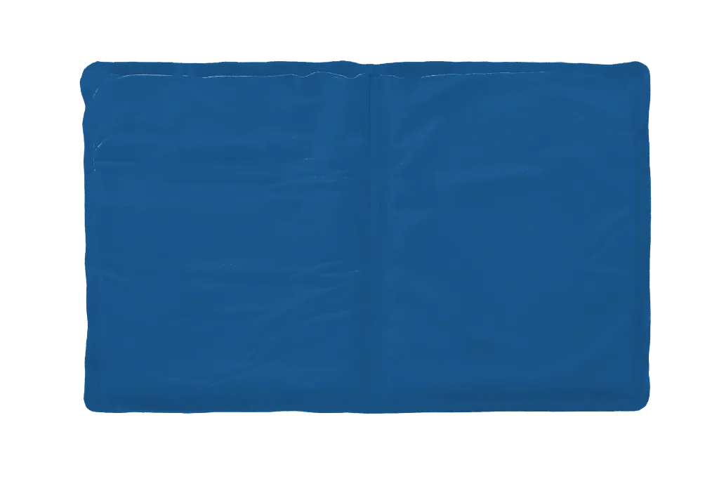 T1210(1).webp