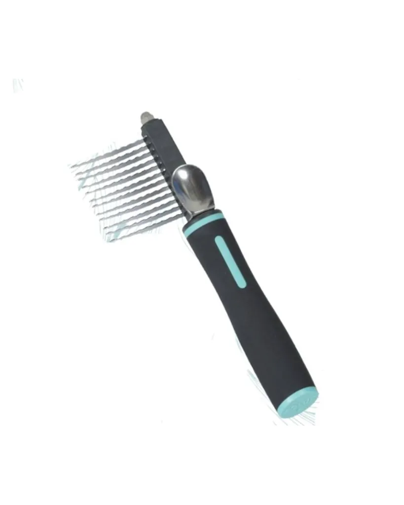 Copie de Publications - 2026-05-15T120212.771.webp