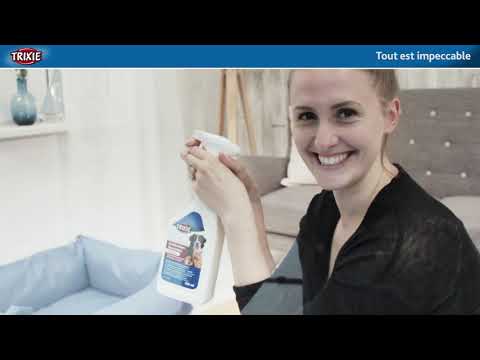 youtube - [Video]