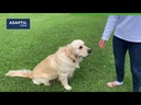 youtube - [Video]