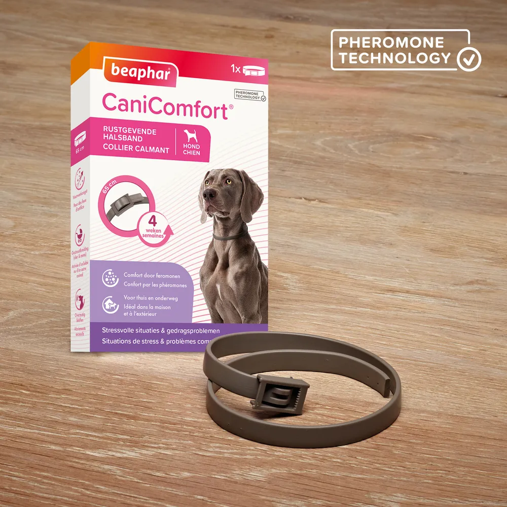 17707_Ecommerce_CaniComfort_Collar_FR_2025_02.webp
