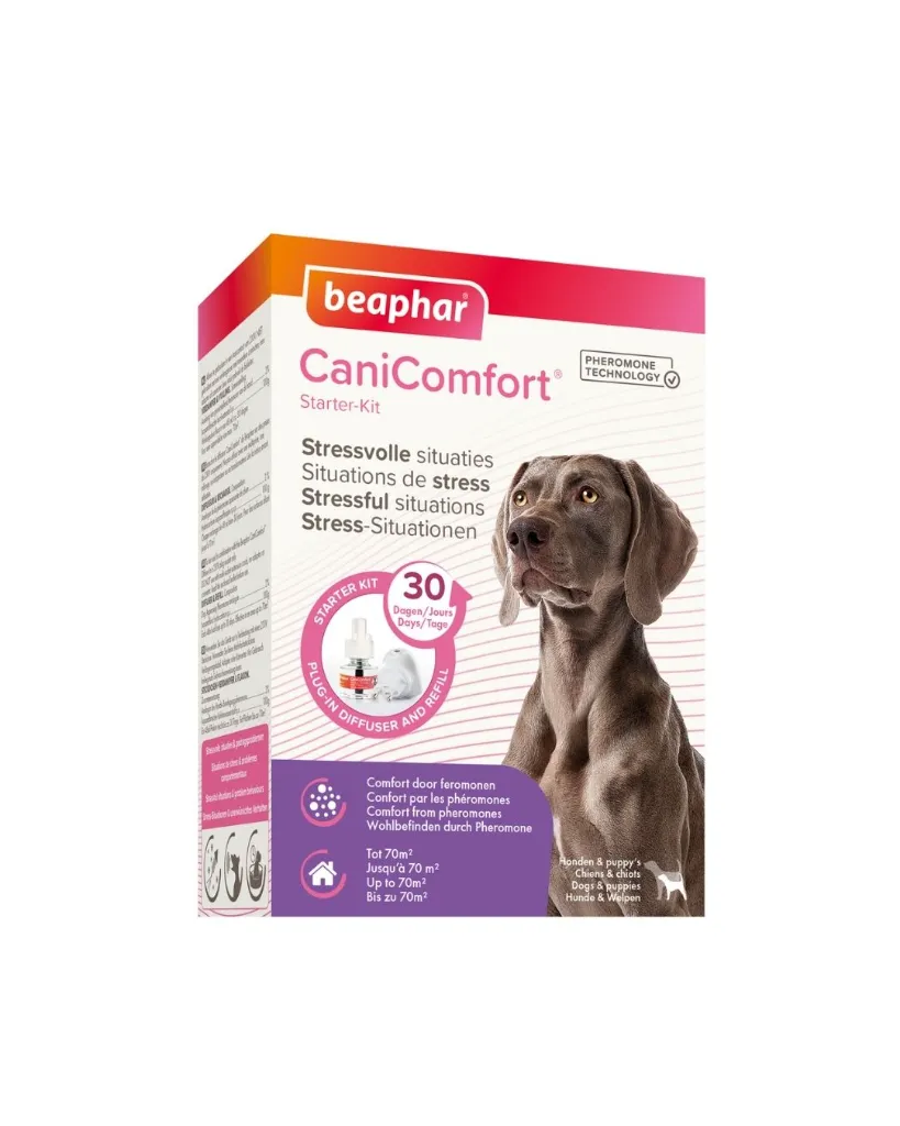 Copie de Publications - 2026-05-18T113311.269.webp