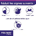 159389.webp