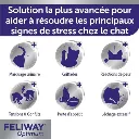 7ed7b67554474e3e99c3b5bcdd40d93f-image.webp
