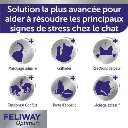 d1d1a5247d93425a9a909e6363b28e01-image.webp