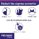 909458f38de1487a816a310636bf1787-image.webp