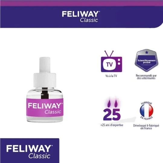 6da1006dac5943318b3add7c7e0250c5-image.webp