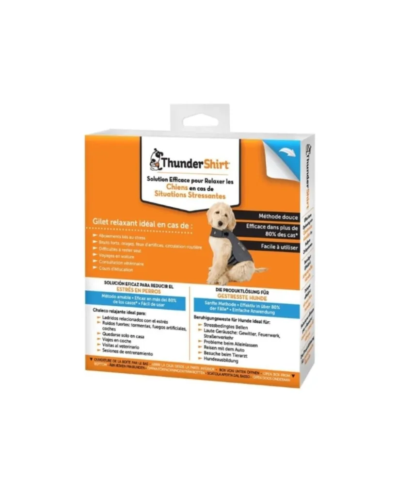 Copie de Publications - 2026-05-20T112721.040.webp