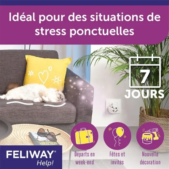 c73a6023d0a7463dbfb8f346b50526f1-image.webp