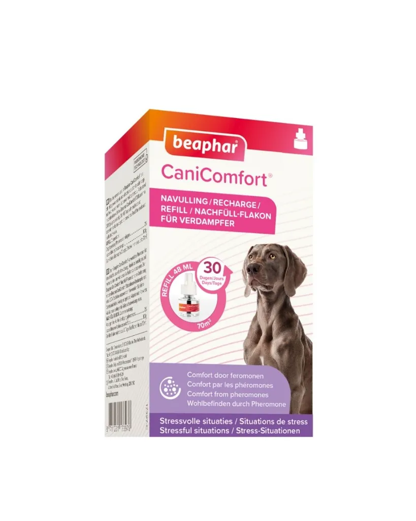 Copie de Publications - 2026-05-20T150956.253.webp