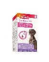 Copie de Publications - 2026-05-20T150956.253.webp