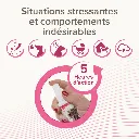 17417_Ecommerce_CaniComfort_Spray_FR_2025_04.webp