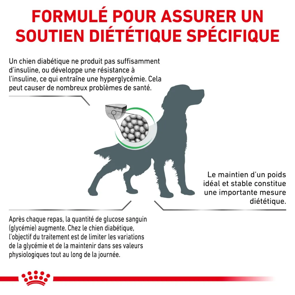 rc-vet-dry-dogdiabetic-cv-eretailkit-2-fr-fr.webp