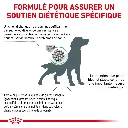 rc-vet-dry-dogdiabetic-cv-eretailkit-2-fr-fr.webp