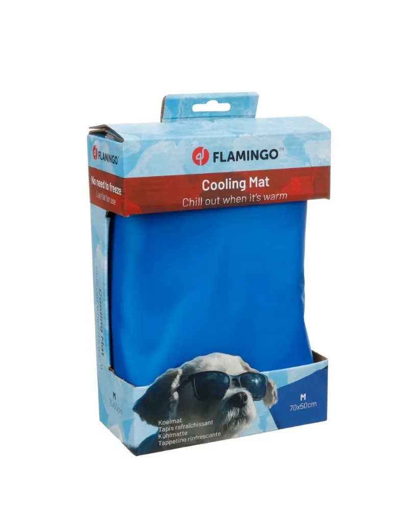 Produit - 2026-06-26T113009.099.webp