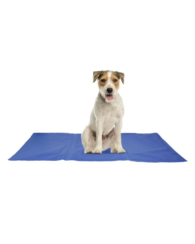 Produit - 2026-06-26T112947.333.webp