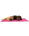 Produit - 2026-06-26T115022.560.webp