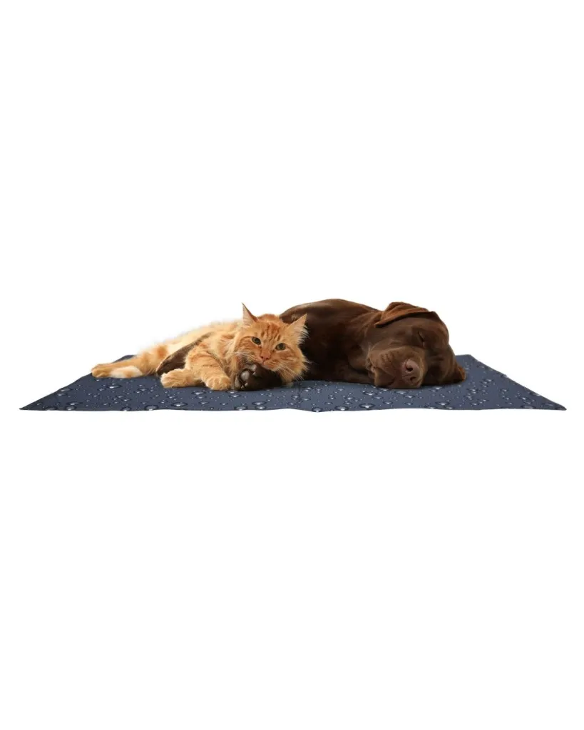 Produit - 2026-06-26T132936.129.webp